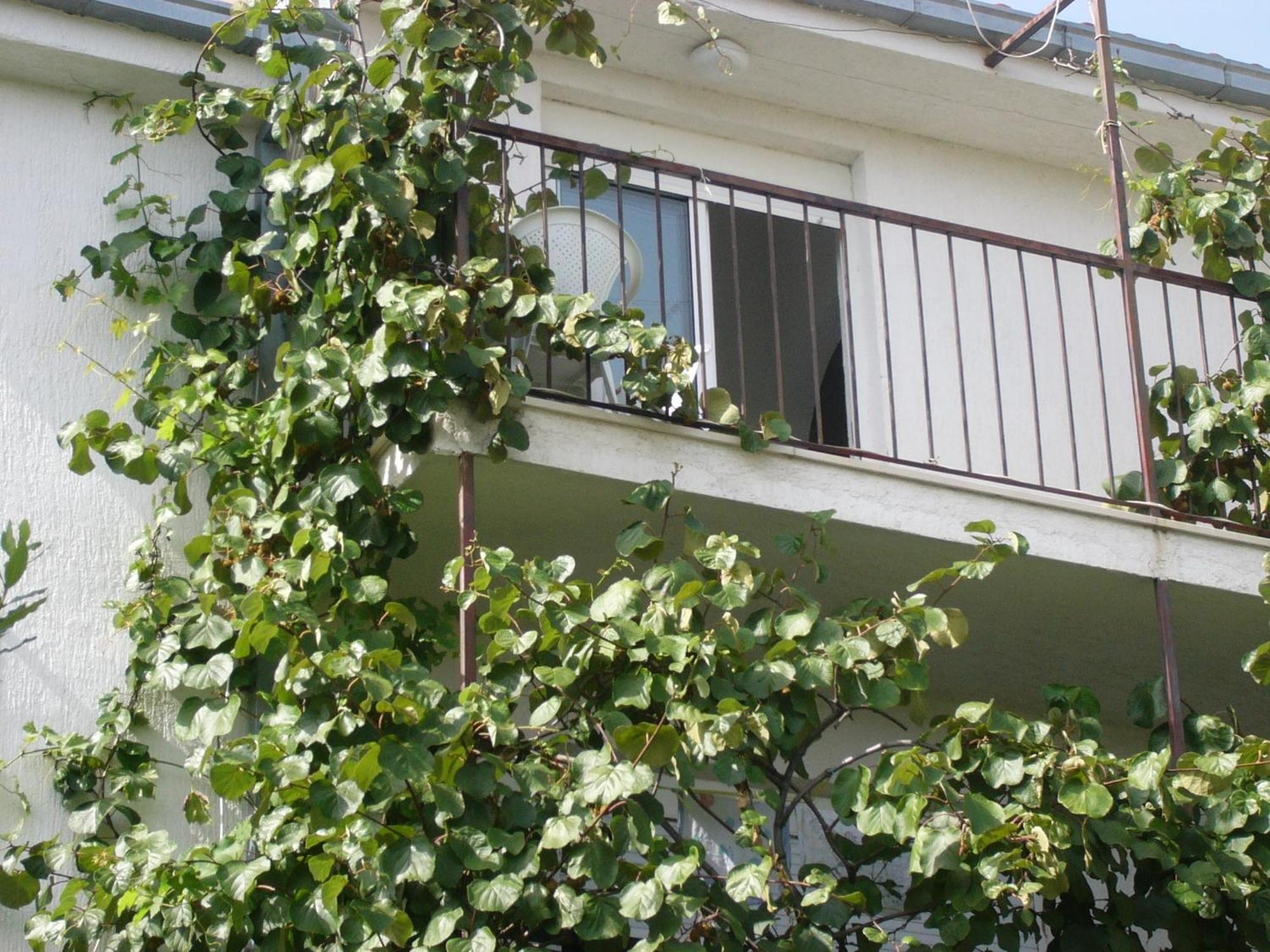 Apartments Prizmic Podstrana Exterior photo