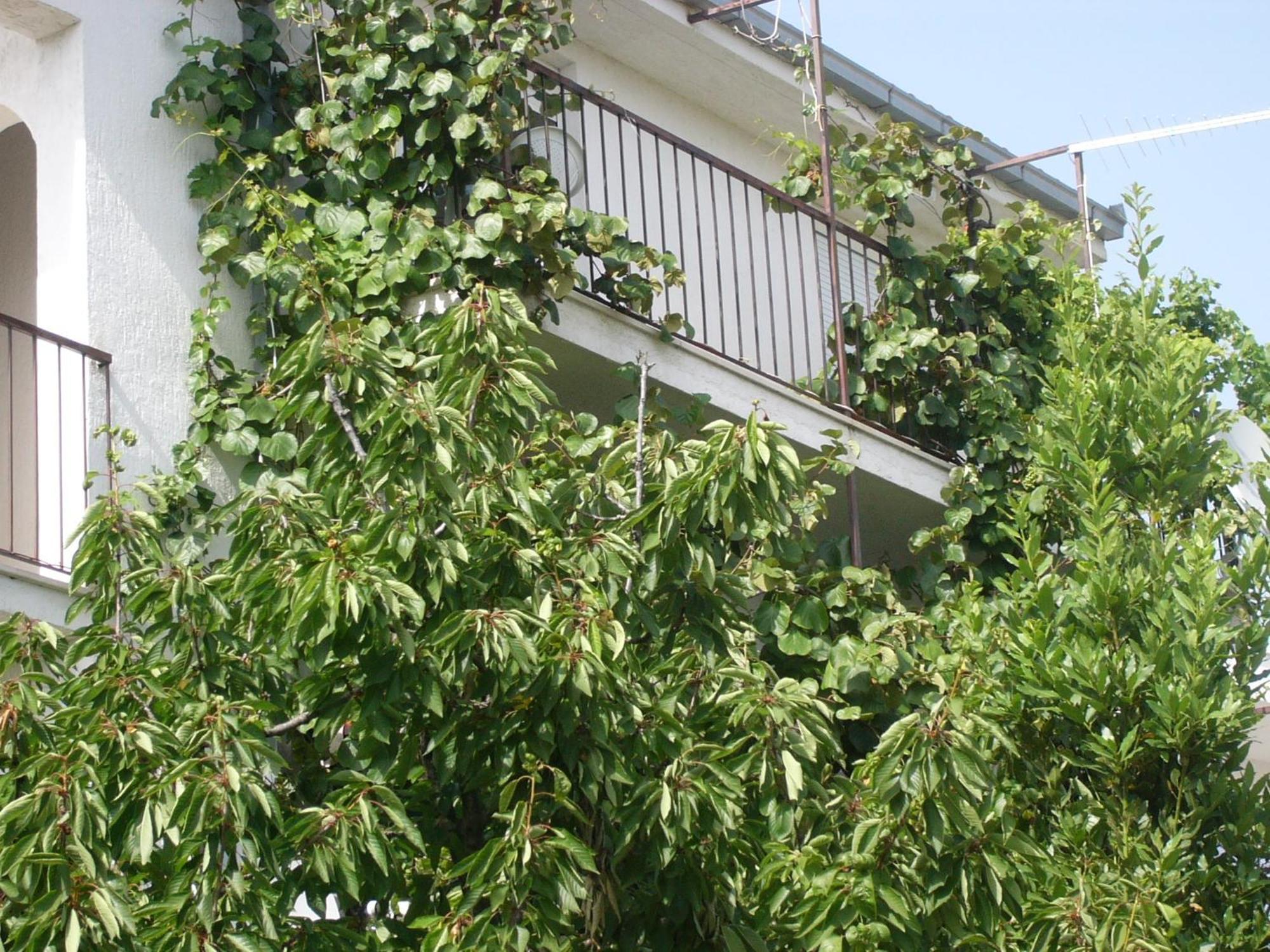 Apartments Prizmic Podstrana Exterior photo